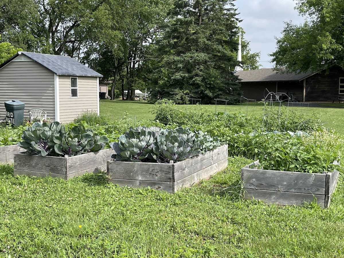 raised-garden-beds